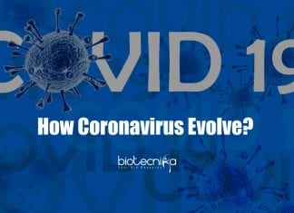 How Coronavirus Evolve? – Scientist Develop New Method To Understand Mechanism how coronavirus evolves