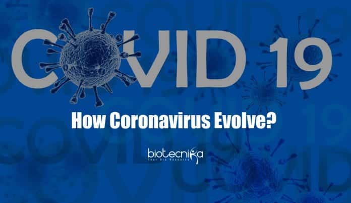 how coronavirus evolves