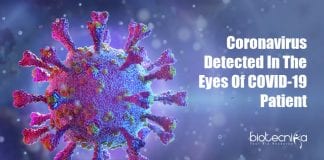 coronavirus found in eyes