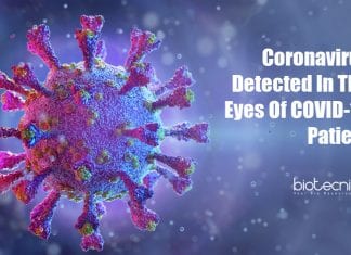 Coronavirus Detected In The Eyes Of COVID-19 Patient coronavirus found in eyes