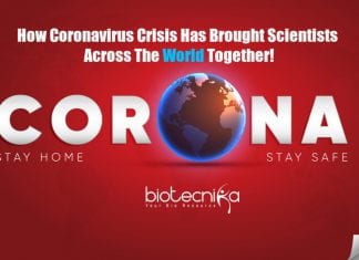How Coronavirus Crisis Has Brought Scientists Across The World Together! How world is united in coronavirus research