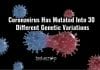 Coronavirus Mutated To 30 Different Strains