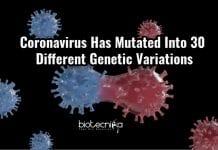 Coronavirus Has Mutated Into Atleast 30 Different Strains : Study Says Coronavirus Mutated To 30 Different Strains