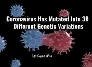 Coronavirus Has Mutated Into Atleast 30 Different Strains : Study Says Coronavirus Mutated To 30 Different Strains