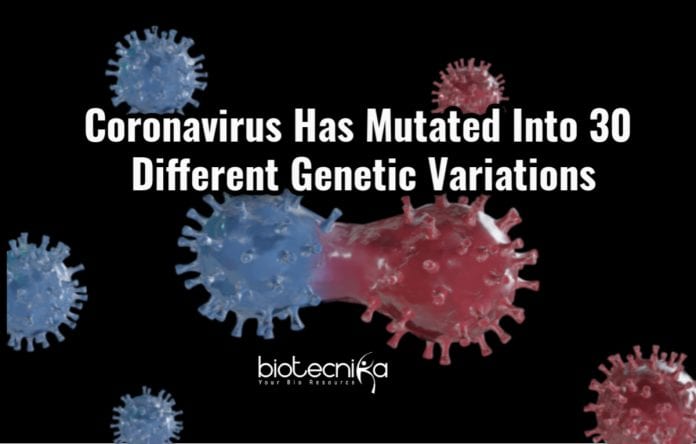 Coronavirus Mutated To 30 Different Strains