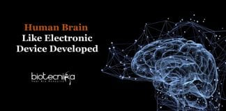 device that work like human brain