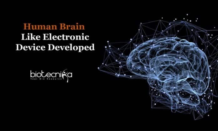 device that work like human brain