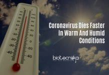 Coronavirus Dies Faster In Warm, Humid Conditions : US Govt Study Does Weather Affect Spread Of Coronavirus