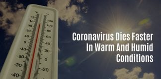 Does Weather Affect Spread Of Coronavirus