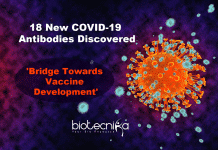 18 New COVID-19 Antibodies Discovered By US Army Researchers 18 New COVID-19 Antibodies Discovered