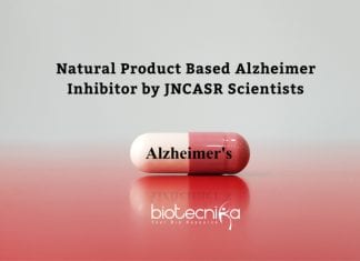 Natural Product Based Alzheimer Inhibitor By JNCASR Scientists Alzheimer inhibitor by JNCASR Scientists