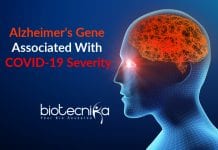 Alzheimer’s Gene associated with COVID-19 Severity : Study Alzheimers Gene associated with COVID-19