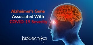 Alzheimers Gene associated with COVID-19