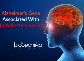 Alzheimers Gene associated with COVID-19