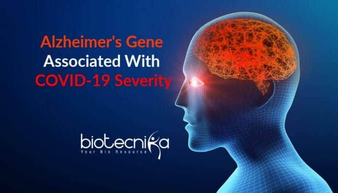 Alzheimers Gene associated with COVID-19