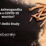Ashwagandha Could Be COVID-19 Warrior ? IIT-Delhi Study Ashwagandha to be COVID19 warrior