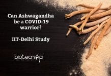 Ashwagandha Could Be COVID-19 Warrior ? IIT-Delhi Study Ashwagandha to be COVID19 warrior