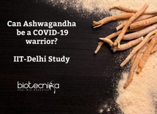 Ashwagandha Could Be COVID-19 Warrior ? IIT-Delhi Study Ashwagandha to be COVID19 warrior