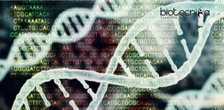 AstraZeneca Bioinformatics Specialist Opening