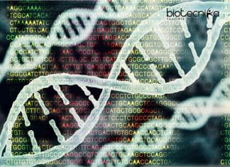 AstraZeneca Bioinformatics Specialist Opening – Applications Invited AstraZeneca Bioinformatics Specialist Opening