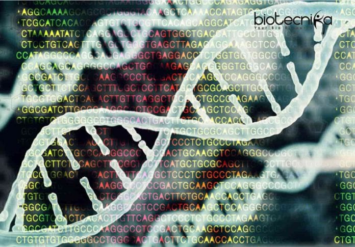 AstraZeneca Bioinformatics Specialist Opening