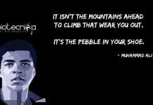 Biotecnika Times – Newsletter 20.05.2020 – Cancer Vaccine Project Job, ICMR Viral Load Life