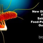 New DNA Test To Track Salmonella Food-Poisoning Outbreaks Better DNA assay to detect Salmonella