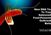 New DNA Test To Track Salmonella Food-Poisoning Outbreaks Better DNA assay to detect Salmonella