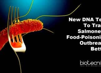 New DNA Test To Track Salmonella Food-Poisoning Outbreaks Better DNA assay to detect Salmonella