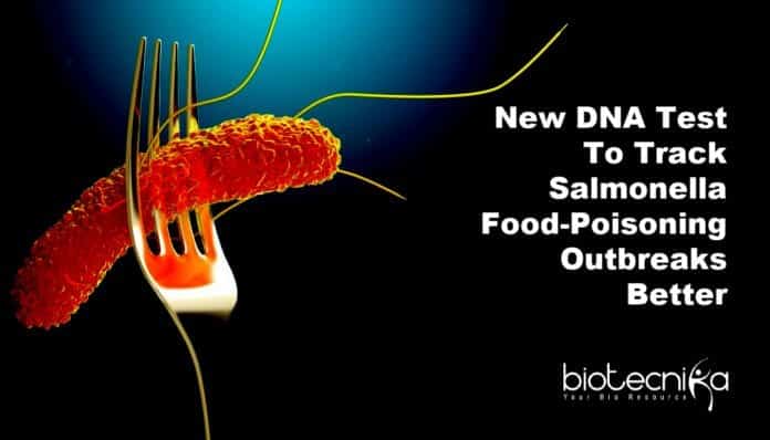 DNA assay to detect Salmonella
