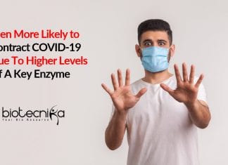 Men Are More Likely to Contract COVID-19 Due To Higher Levels Of A Key Enzyme Men have higher chance to get Covid-19