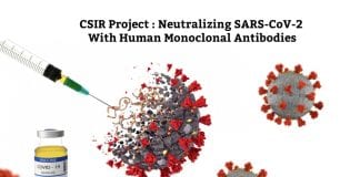 hmAbs for neutralizing COVID19 Virus