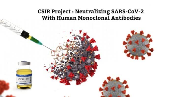 hmAbs for neutralizing COVID19 Virus