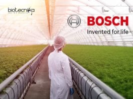 Bosch Jobs