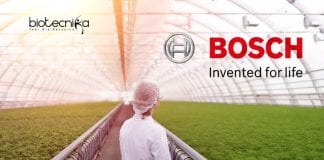 Bosch Jobs