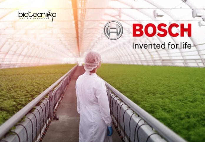 Bosch Jobs