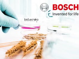 Bosch Latest Jobs