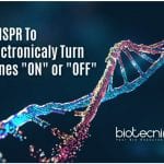 Connecting Biology With Electronics Via CRISPR – By UMB Researchers CRISPR to electronically regulate genes