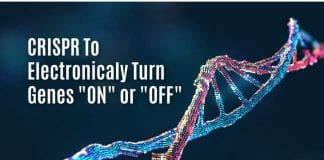 CRISPR to electronically regulate genes