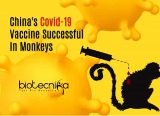 China Successfully Tests COVID-19 Vaccine In Monkeys China developed vaccine against Covid-19