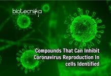 Scientists Identify Set Of Compounds That Inhibit Coronavirus Reproduction In Cells Compounds That Fight COVID-19 Virus