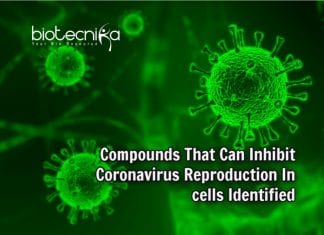 Scientists Identify Set Of Compounds That Inhibit Coronavirus Reproduction In Cells Compounds That Fight COVID-19 Virus