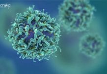 DBT Invites LoI For Setting Up VNCs in Area of Cancer Immunology & Immunotherapy DBT Invites LoI