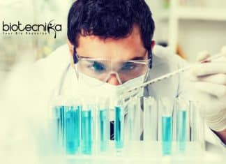 Danaher Bioprocess Application Scientist – MSc & PhD Apply Danaher Bioprocess Application Scientist