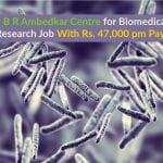 Dr B R Ambedkar Centre for Biomedical Research Job With Rs. 47,000 pm Pay Delhi University Latest Job