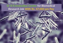Dr B R Ambedkar Centre for Biomedical Research Job With Rs. 47,000 pm Pay Delhi University Latest Job