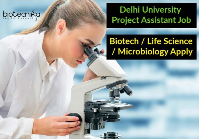 Delhi University Project Assistant