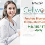 Freshers Biomodeling Intern Job