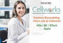 Freshers Biomodeling Intern Job @ Cellworks – MSc/ BE / BTech Apply Freshers Biomodeling Intern Job