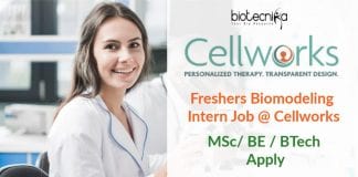 Freshers Biomodeling Intern Job